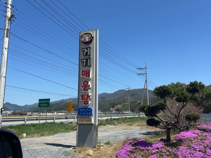  [평창 맛집]  속이 확~ 풀리는 근본 매운탕! 방림면 '거기매운탕' 솔직 후기 