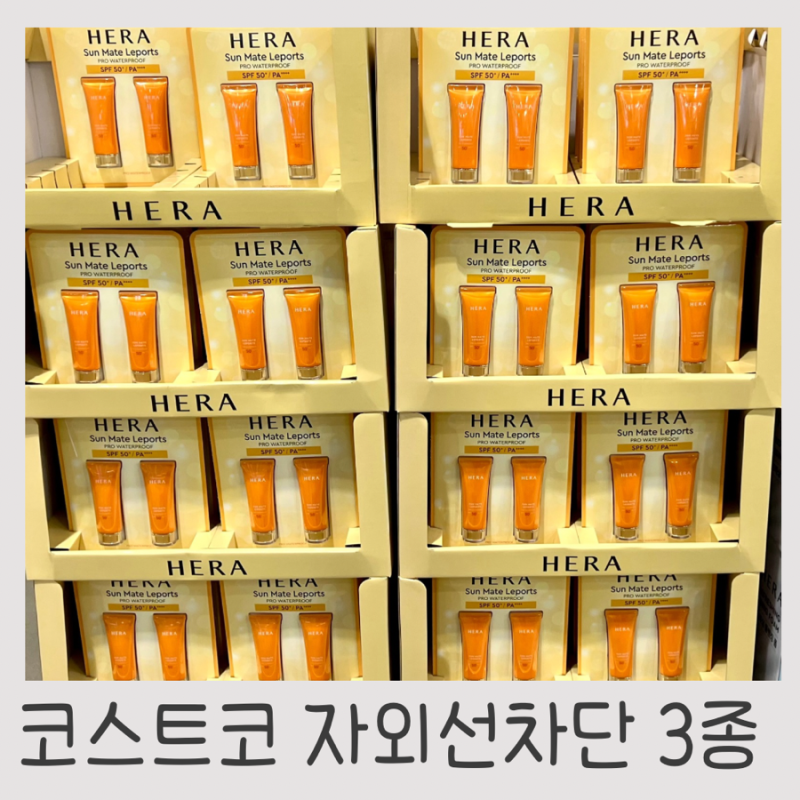 코스트코 HERA 헤라부터 AHC까지 자외선차단 선크림 선스틱 총정리