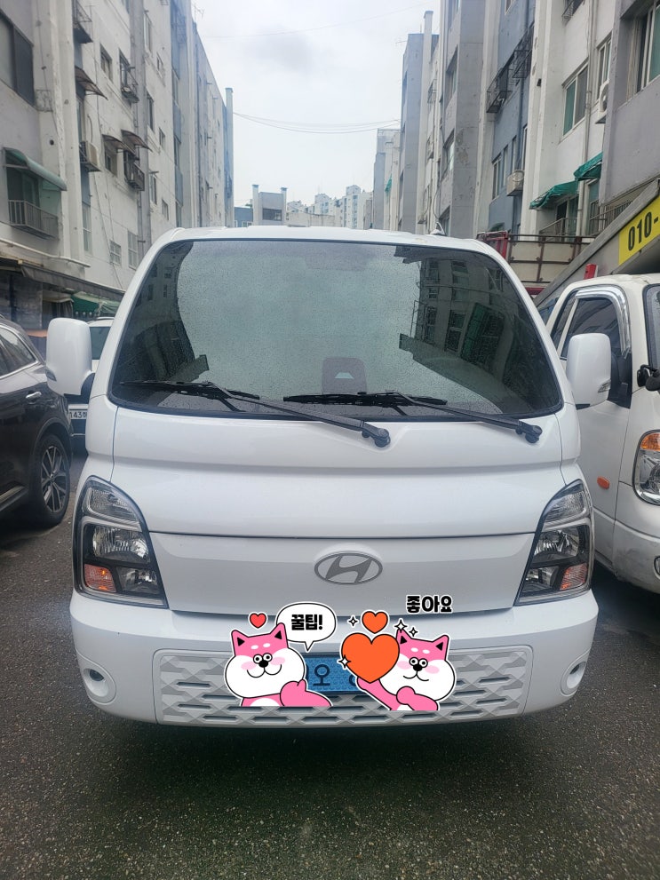  [출고 후기] 화물차 장기렌트 불가능? 포터2 EV 시설대여리스로 보험료 고민 해결!