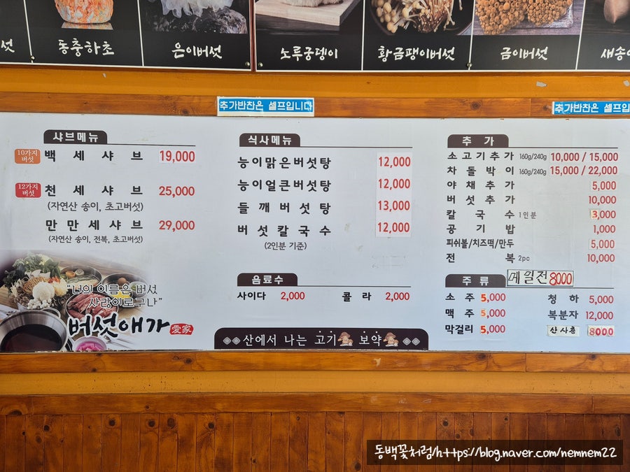 버섯애가 사진 5
