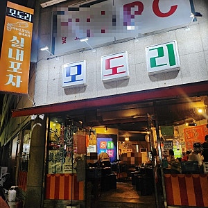 [청주 가경동 실내포차 모도리] 청주터미널 근처 2차로 가기 좋은 술집