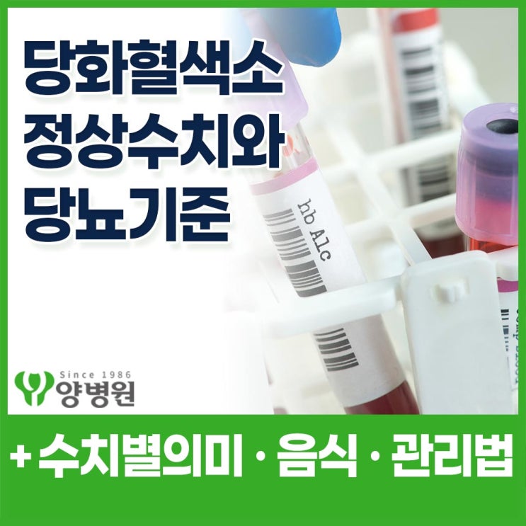  당화혈색소 정상수치와 6.5 당뇨 기준 – 수치별 의미와 음식·관리법