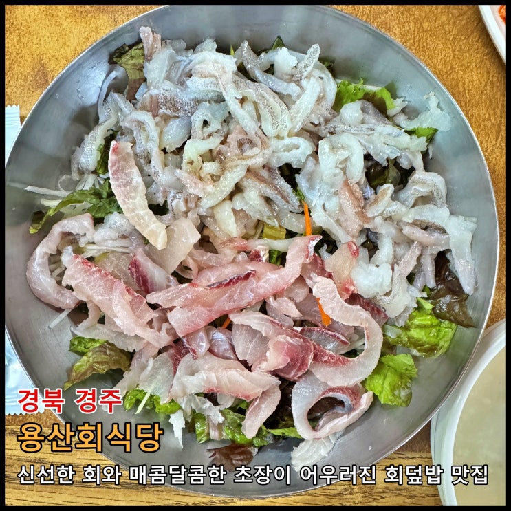  [경주] ️ 신선한 회와 매콤달콤한 초장이 어우러진 회덮밥으로 유명한 맛집 '용산회식당'