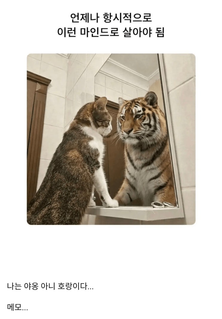  남자들이 살면서 가져야 할 마음가짐 .jpg