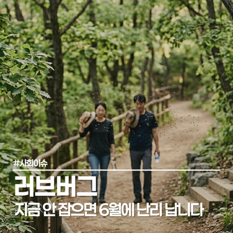  러브버그 퇴치, 물만 뿌려도 된다? 동양하루살이와 다른 대처법 (방역/천적 총정리)