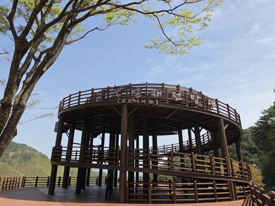 소백산자락길 5자락 사진 2