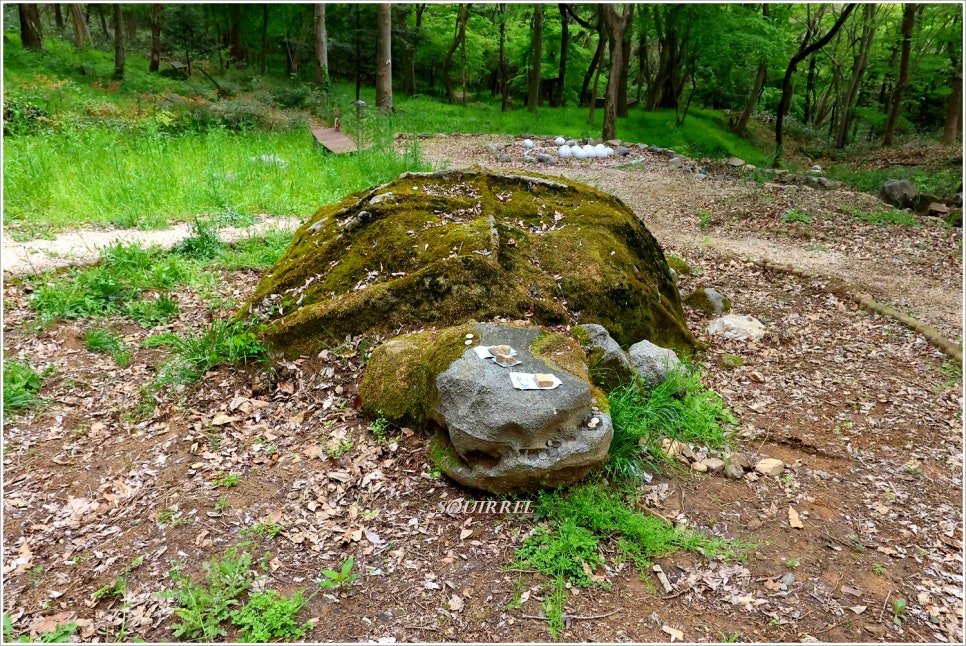 개천산 사진 5