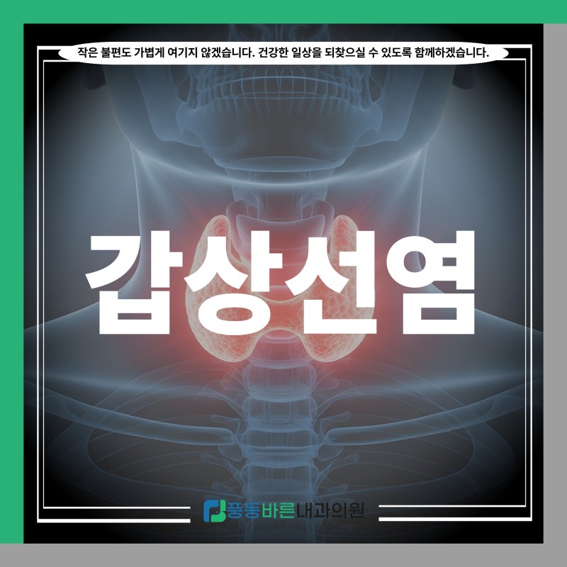 일산동구 풍동 내과, 갑상선염 증상부터 치료까지 갑상선 염증 질환 총정리!