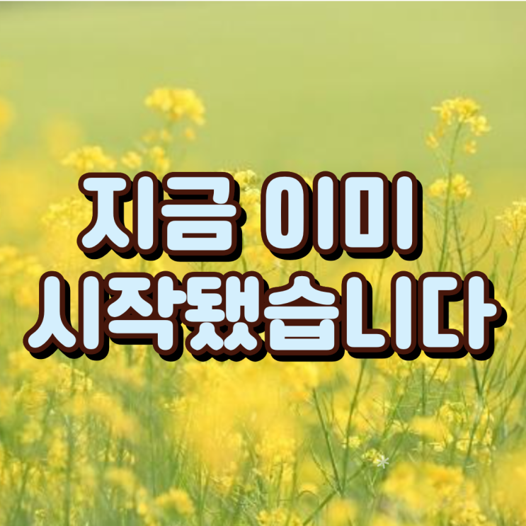  “다음주가 무섭다” 꽃가루 알레르기, 이미 시작됐습니다