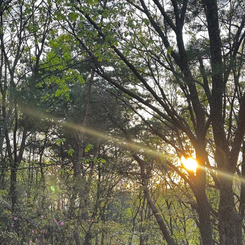 지리산 1박2일 종주 준비 대피소 예약 방법 안내산악회 반더룽 산악회 예약 후기