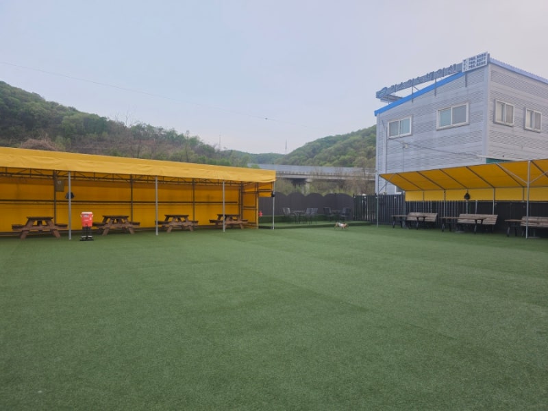 아이러브마이독