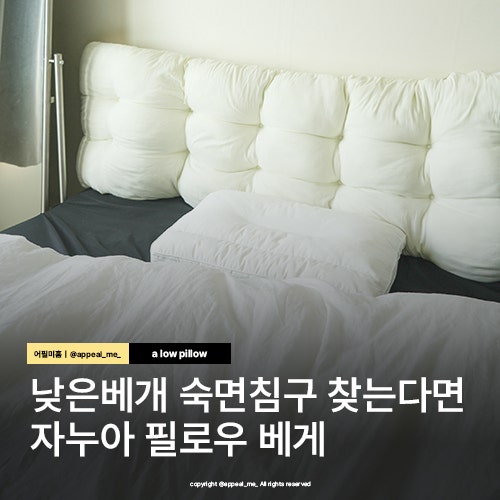 낮은베개추천 숙면 침구 찾는다면 자누아 필로우 베게