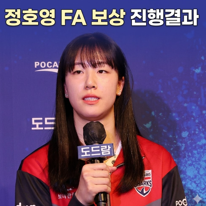  정호영 FA 보상 진행 결과 도수빈 확정, 흥국생명 출혈 감수한 빅딜 전말