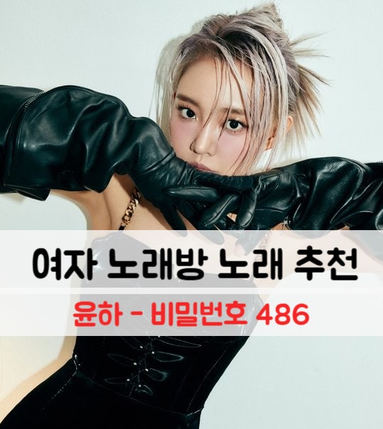 여자 노래방 노래 추천 윤하 - 비밀번호 486 (가사/해석)