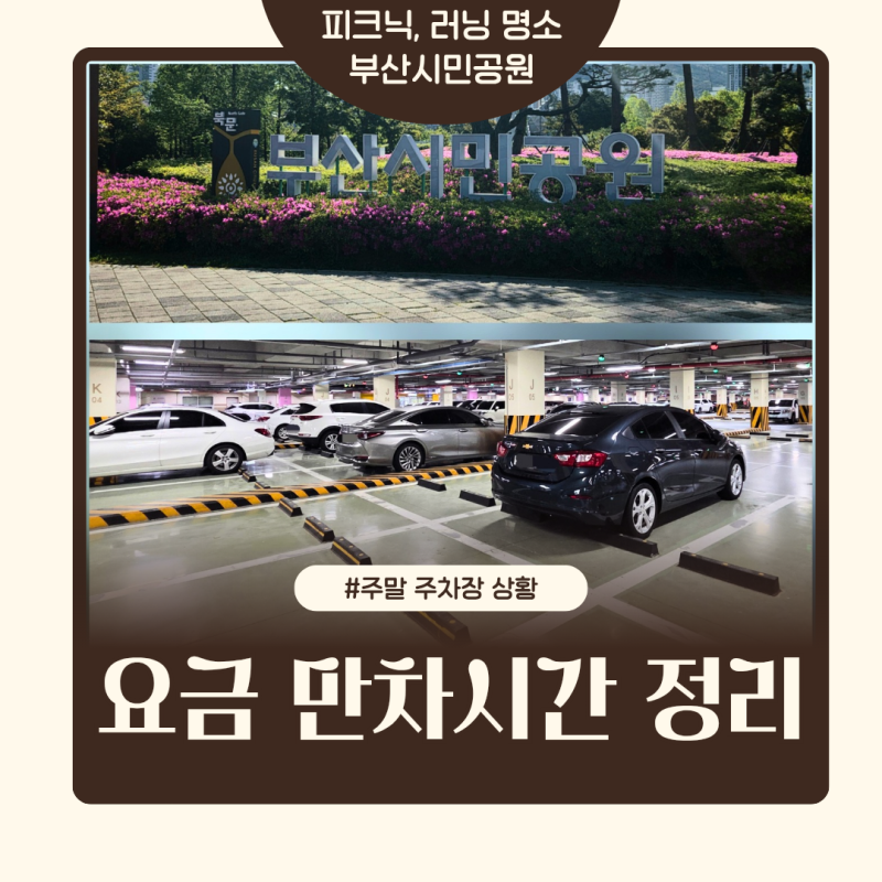 부산시민공원 주차장 요금 및 주차 꿀팁! 부산 피크닉 장소 추천 (실시간 상황)
