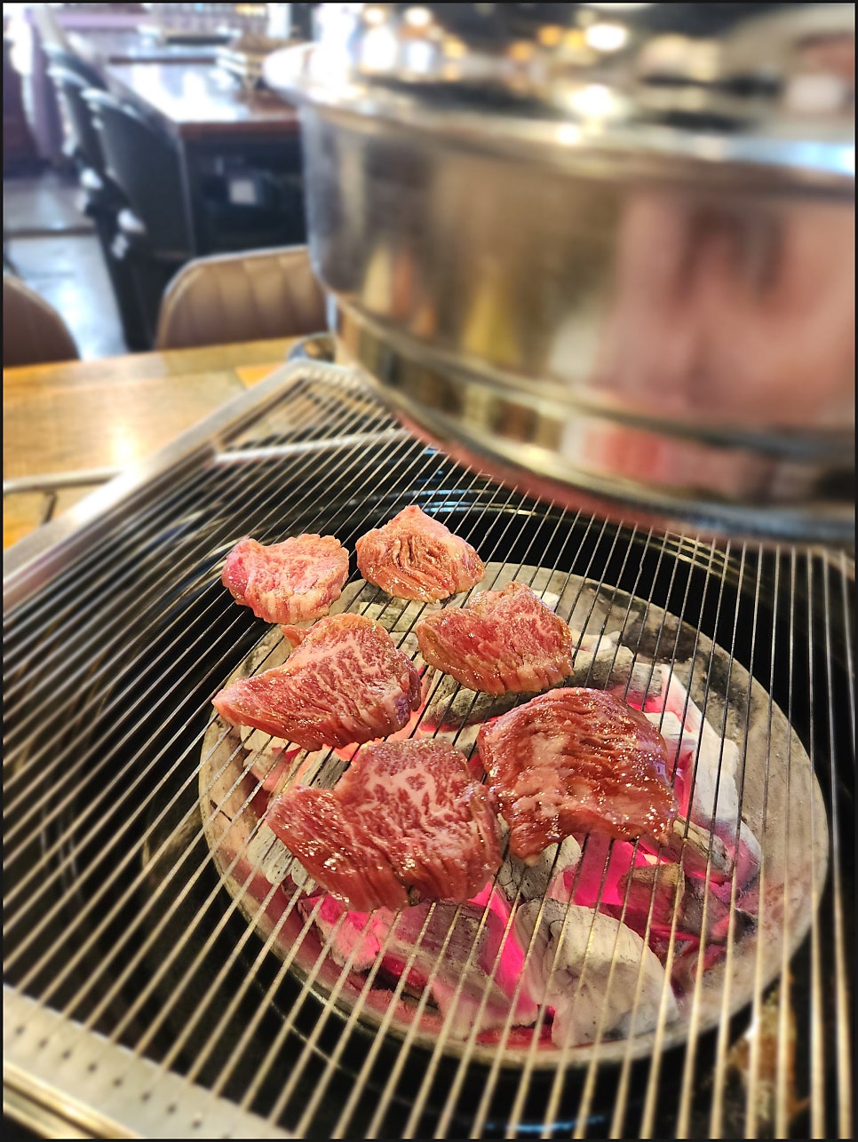 소야지 사진 2