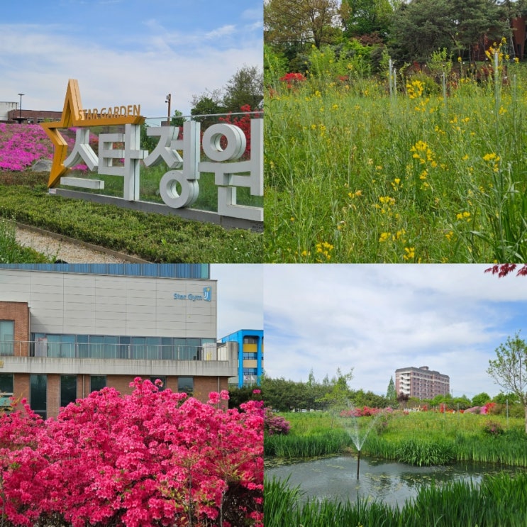  전주 겹벚꽃 명소 전주대 유채꽃 스타정원 철쭉 동산 위치 꿀팁