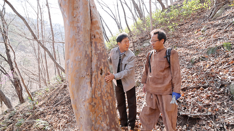 모리산 사진 6