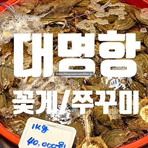 2026 김포 대명항 꽃게 쭈꾸미 가격 시세
