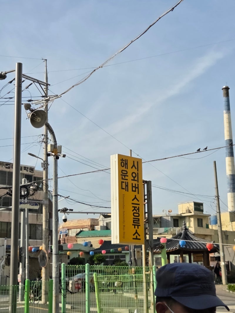 해운대시외버스정류소 터미널 해운대에서 김해 버스 시간표(26년4월25일기준)