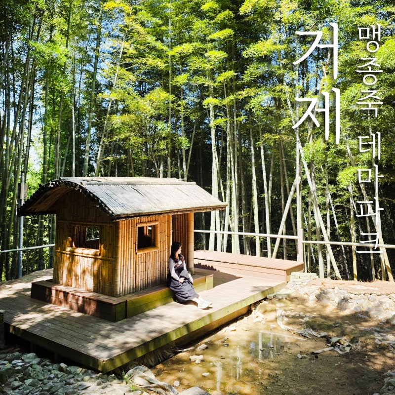 사진 3
