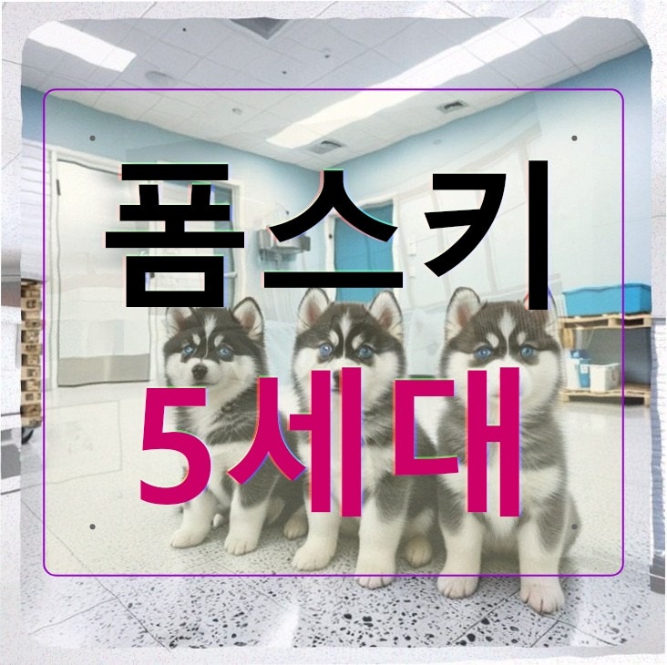 사진 7