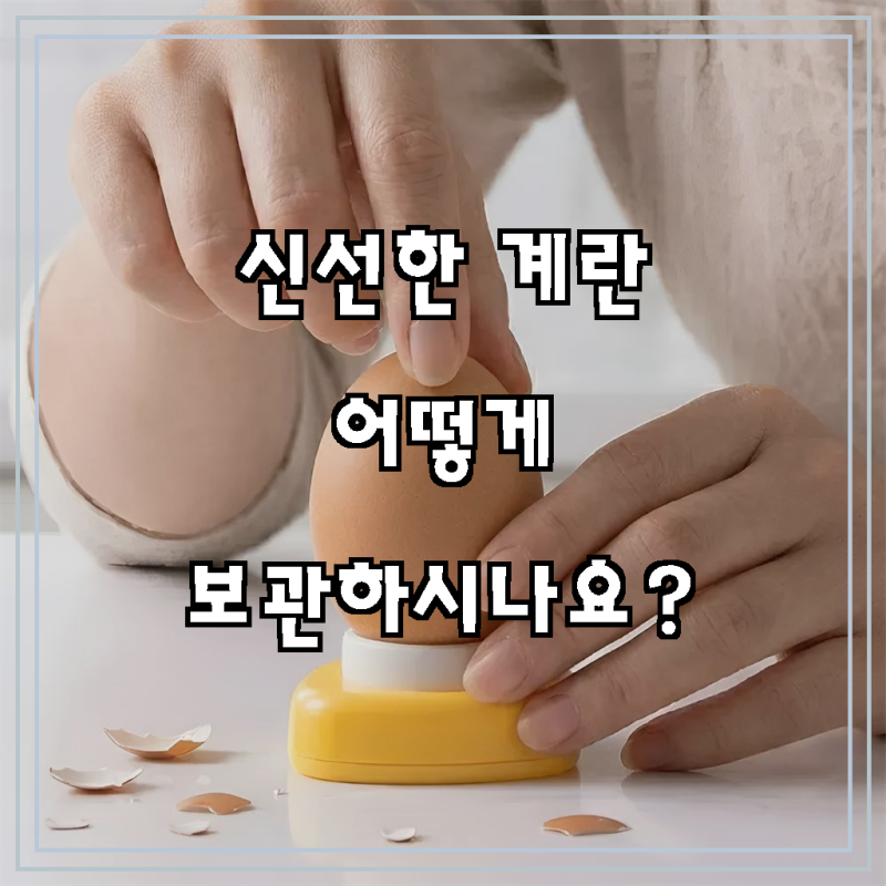 오제브 일본식 냉장고자석 계란 구멍 에그펀칭기로 주방의 편리함을 더해보세요!