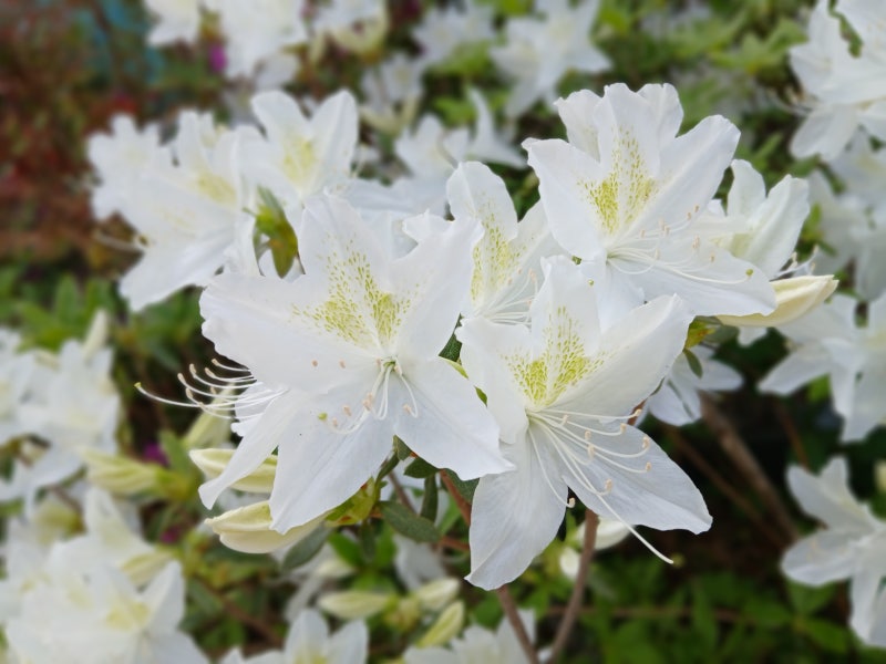 사진 6
