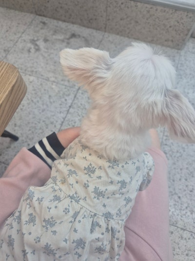 사진 3