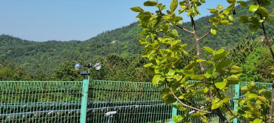 뒷동산 사진 5
