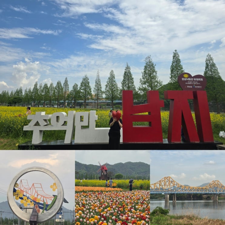  경남 봄축제 창녕낙동강유채꽃축제 창녕 남지 유채꽃 명소