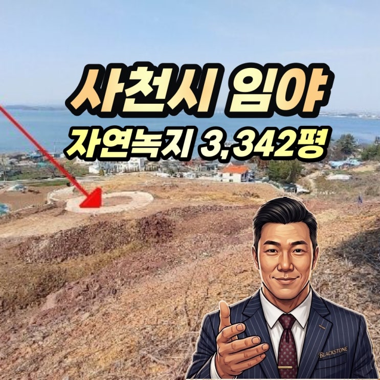  2024타경31958: 사천시 송포동 3,300평 임야 경매, 인허가권 승계 전략과 매입 가치