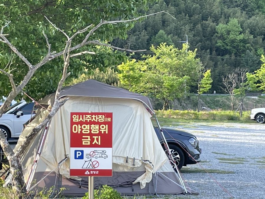 동호솔숲 사진 5