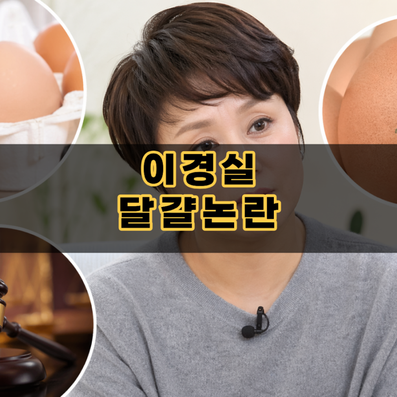 이경실 달걀 논란 해명, 난각 번호 4번 뜻과 가격 차이의 진실 (아들 무혐의 결과 포함)