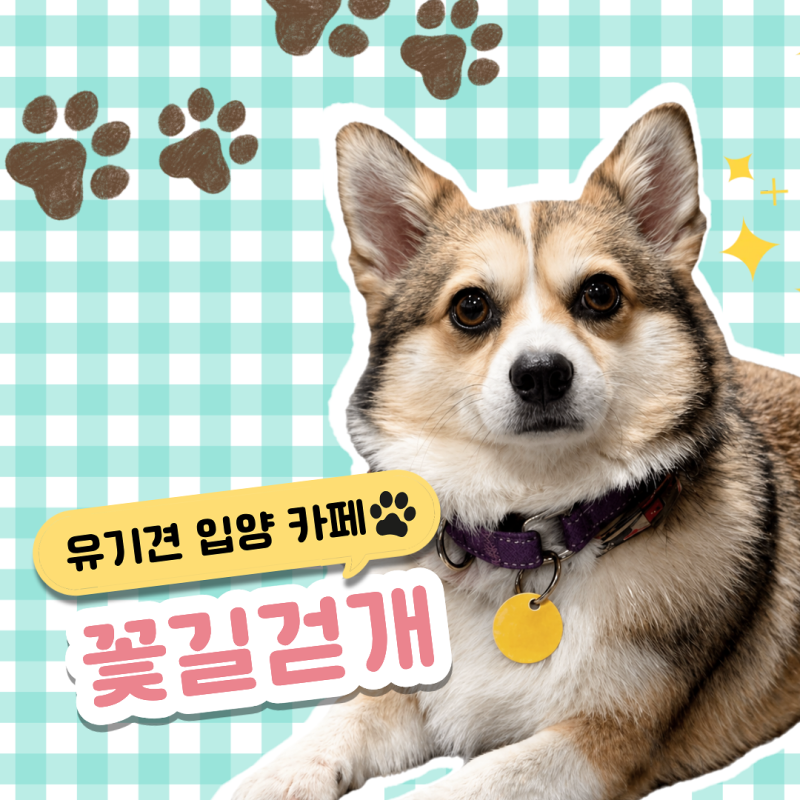 사진 2