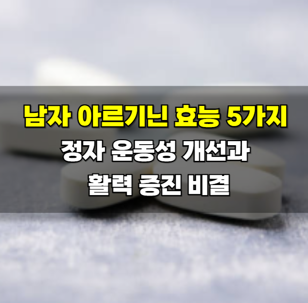 남자 아르기닌 효능 5가지, 정자 운동성 개선과 활력 증진 비결