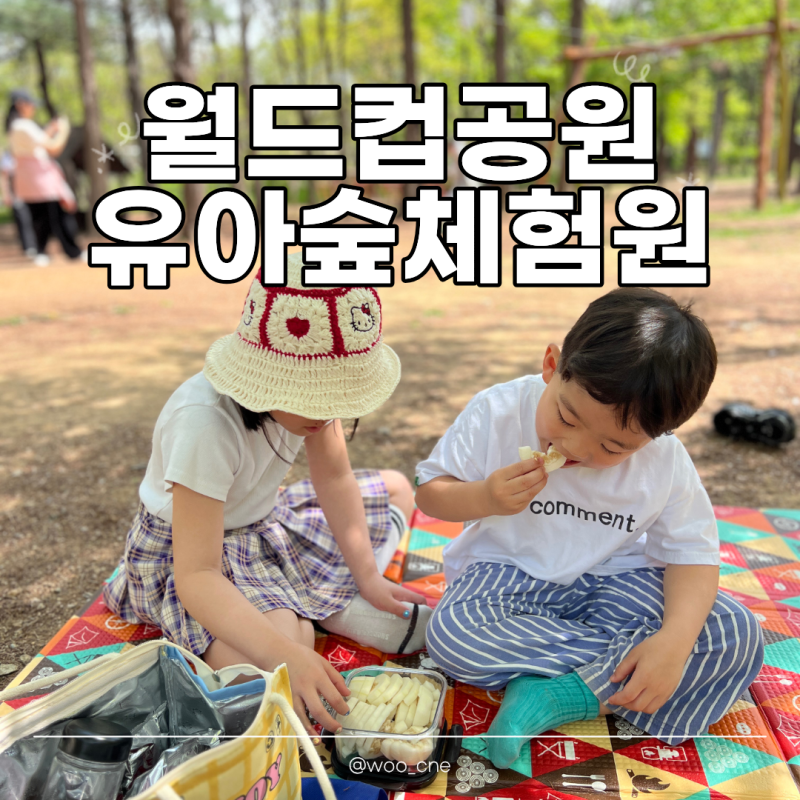 상암 월드컵공원 유아숲체험원, 아이랑 갔다가 뜻밖의 대만족