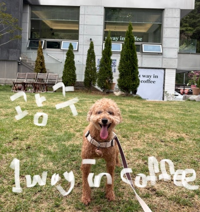 사진 4
