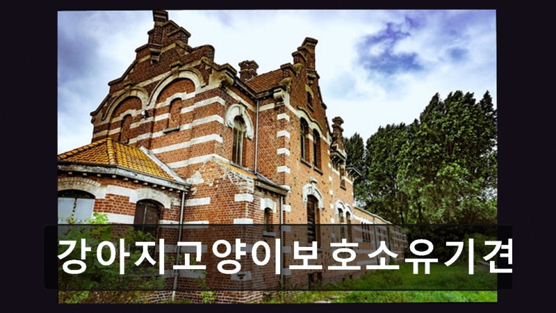 사진 6