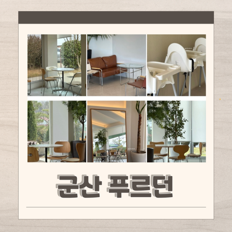 사진 5