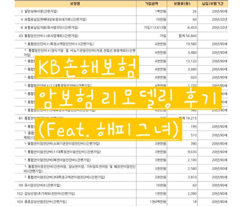 내돈내산 암뇌심 보험 리모델링 후기