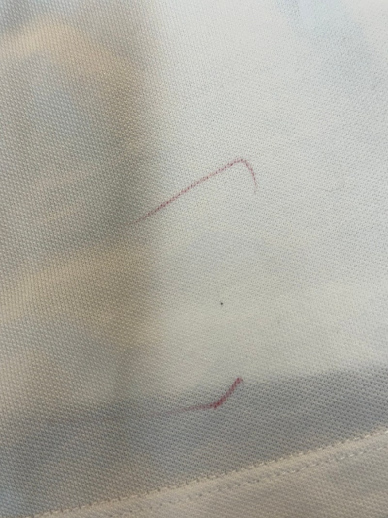 새로 산 옷에 빨간 싸인펜… 수성싸인펜 지우는법 직접 해보니 (유성까지 해결)