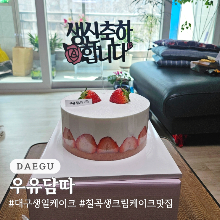  대구 생일케이크 칠곡 생크림케이크 맛집 우유담따