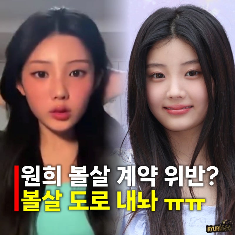 The Case of ILLIT Wonhee's Disappearing Chubby Cheeks: Re-examining the 'Cheek Fat Contract'