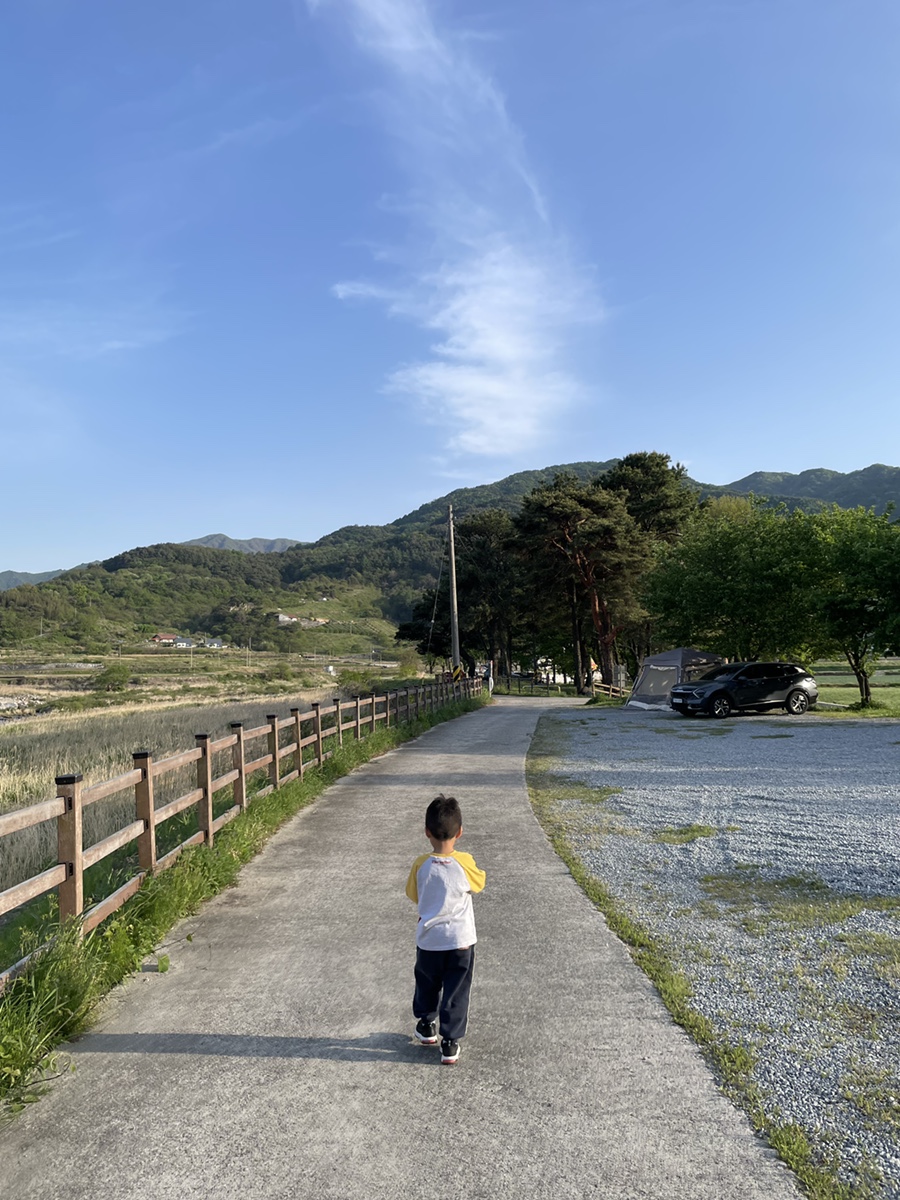 동호솔숲 사진 6