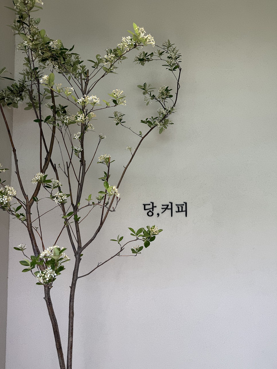 당커피 사진 3
