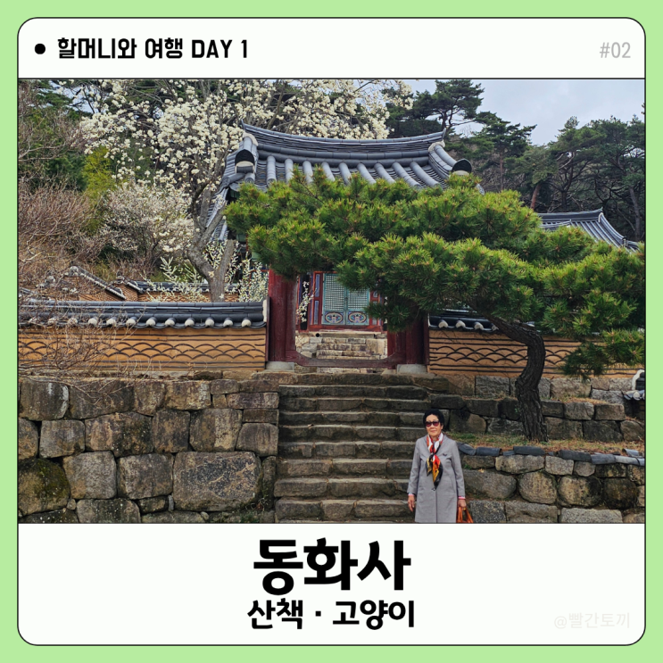  대구 동화사 주차·산책 코스·고양이 포인트 | 할머니와 여행 #02
