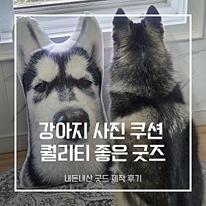 우리집 강아지 굿즈 사진 쿠션 제작 후기｜소느로잡화점 반려견 굿즈 쿠션·쿠션키링 내돈내....