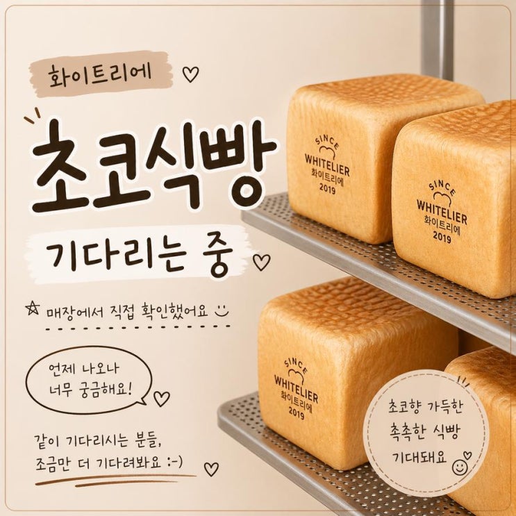  화이트리에 초코식빵, 다들 기다리시죠? 매장 확인해봤어요