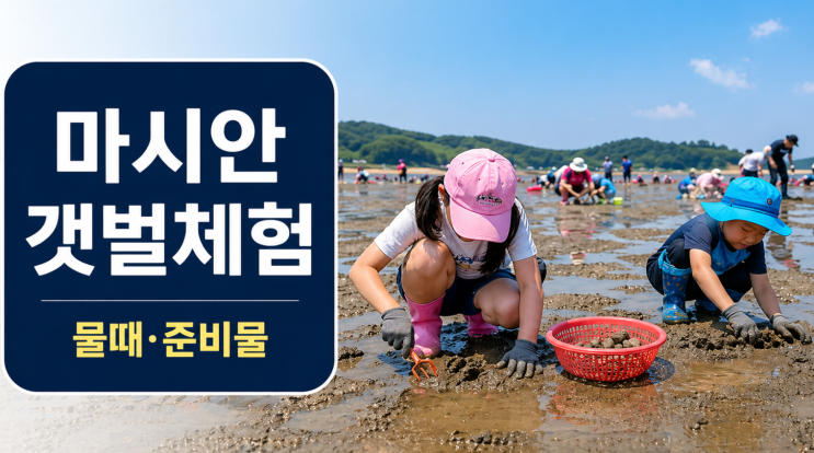  마시안 갯벌체험, 물때·주차부터 봐야 편하다